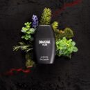 Guy Laroche Drakkar Noir, Iconic Designer Fragrance, Intense & Powerful Eau de Toilette, Fougere Blend & Aromatic Spices, Day and Evening Scent, Long Lasting Mens Cologne,