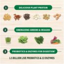 Garden of Life Raw Organic Protein & Greens - Chocolate - Vegan Protein Powder for Women and Men,