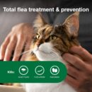Wholesale Advantage II Large Cat Flea Treatment, 6-Month Supply for Cats Over 9 lbs,LOW MOQ