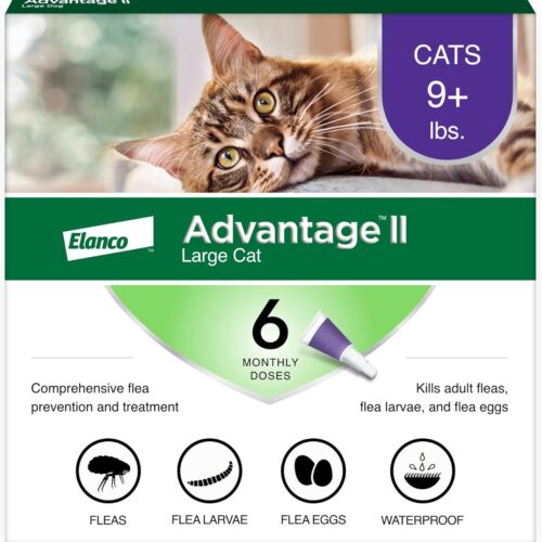 Wholesale Advantage II Large Cat Flea Treatment, 6-Month Supply for Cats Over 9 lbs,LOW MOQ
