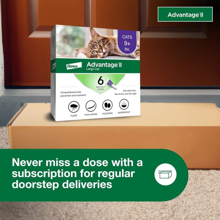 Wholesale Advantage II Large Cat Flea Treatment, 6-Month Supply for Cats Over 9 lbs,LOW MOQ - Image 2