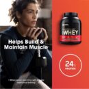 Wholesale Optimum Nutrition Gold Standard Whey Protein Powder - Multiple Flavors