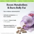 Wholesale ZzzQuil PURE Zzzs Melatonin Gummies, Helps You Fall Asleep Naturally, Wildberry Vanilla Flavor, Chamomile Lavender & Valerian Root, LOW MOQ for Easy Resale