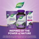 wholesale Nature’s Way Elderberry Immune Gummies - Vitamin C, D3 & Zinc for Daily Immune Health, Gluten-Free LOW MOQ