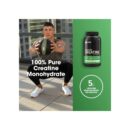 LOW MOQ Wholesale Optimum Nutrition Micronized Creatine Monohydrate Powder - 60 Servings