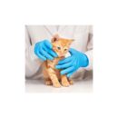 Basic Medical Blue Nitrile Exam Gloves, Latex-Free & Powder-Free Food-Safe House Cleaning Disposable Glove (1000 Pcs)
