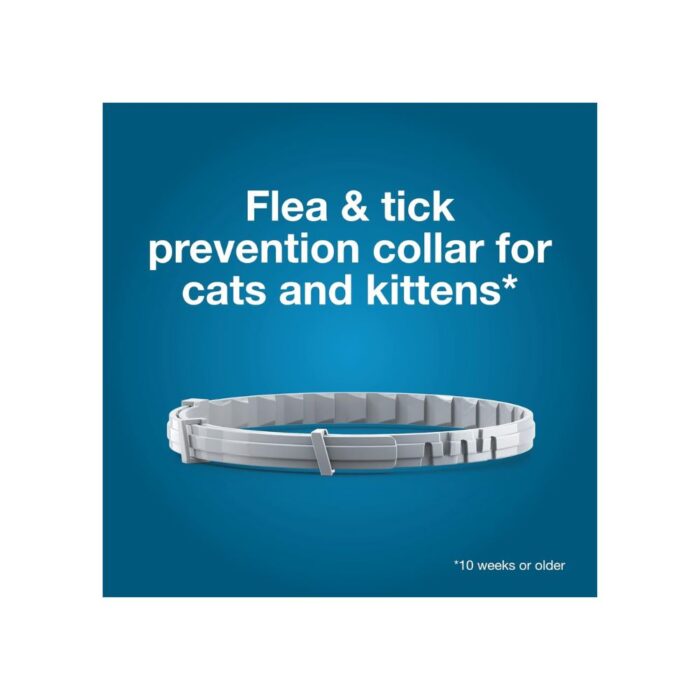Seresto Cat Vet-Recommended Flea & Tick Treatment & Prevention Collar for Cats | 8 Months Protection - Image 3