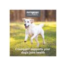 Nutramax Laboratories Cosequin Maximum Strength Joint Health Supplement for Dogs - With Glucosamine, Chondroitin, and MSM, 132 Chewable Tablets