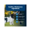 Wholesale LOW MOQ Premium Blue Buffalo Life Protection Dog Food 30lb