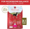 Wholesale Low MOQ Purina ONE Dry Dog Food Lamb & Rice Formula 31.1 lb. Bag
